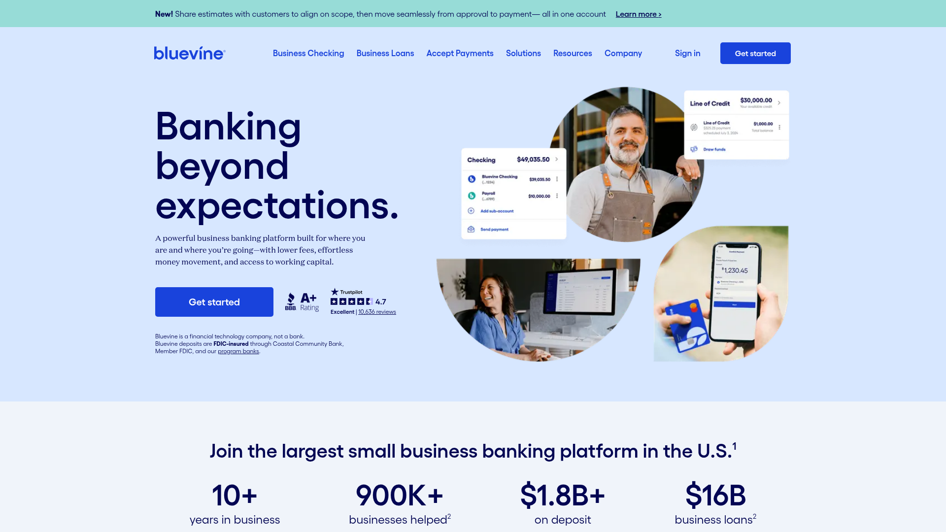 Bluevine homepage