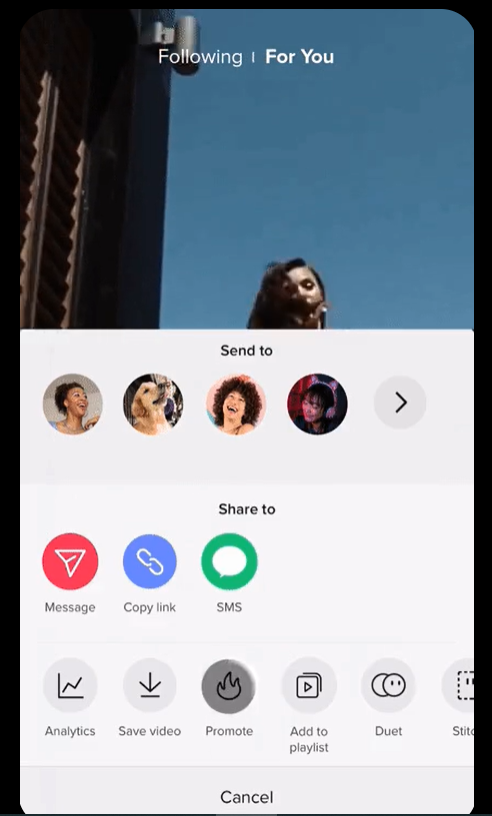 TikTok Following