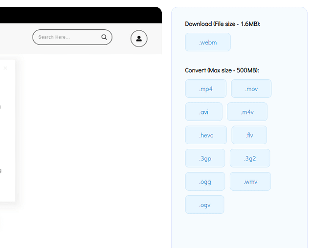 Live Video Converter Live Video Converter