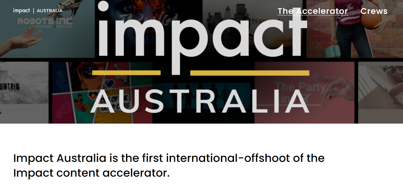 The Impact Accelerator